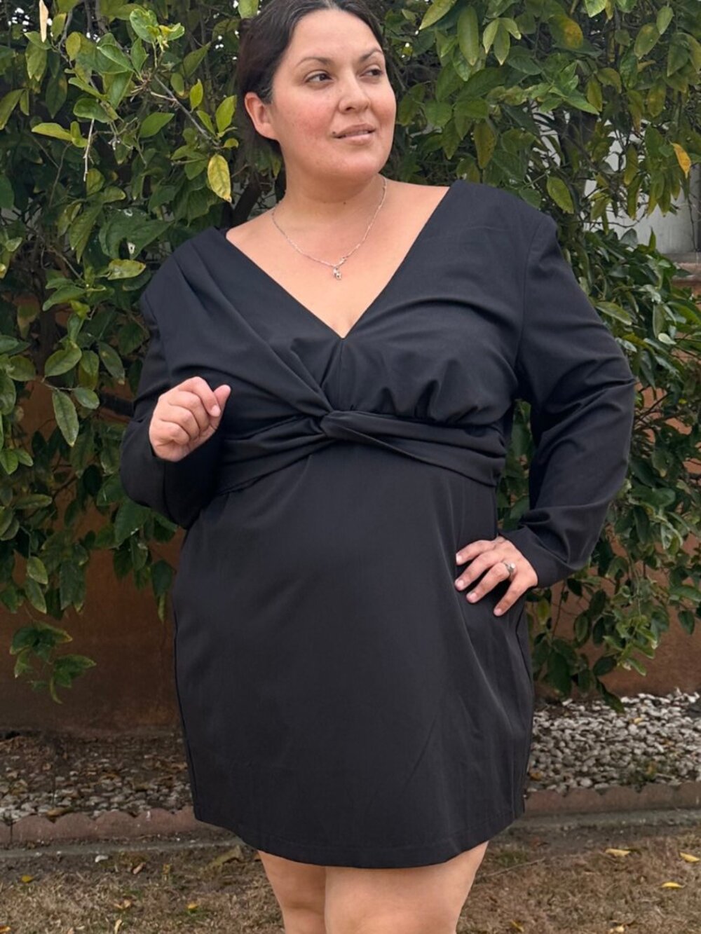 Eloquii Black Dress 22